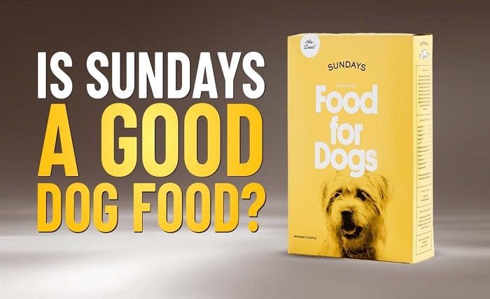 Sundays Dog Food