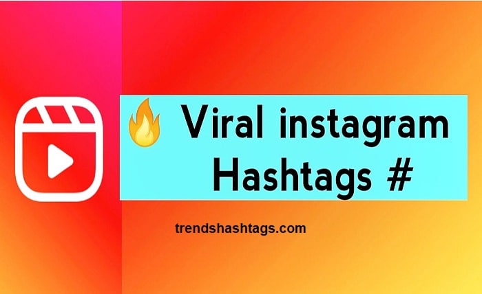 Viral Hashtags for Instagram