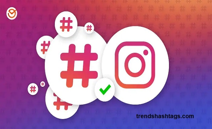 hashtag instagram
