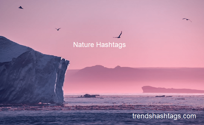 nature hashtags